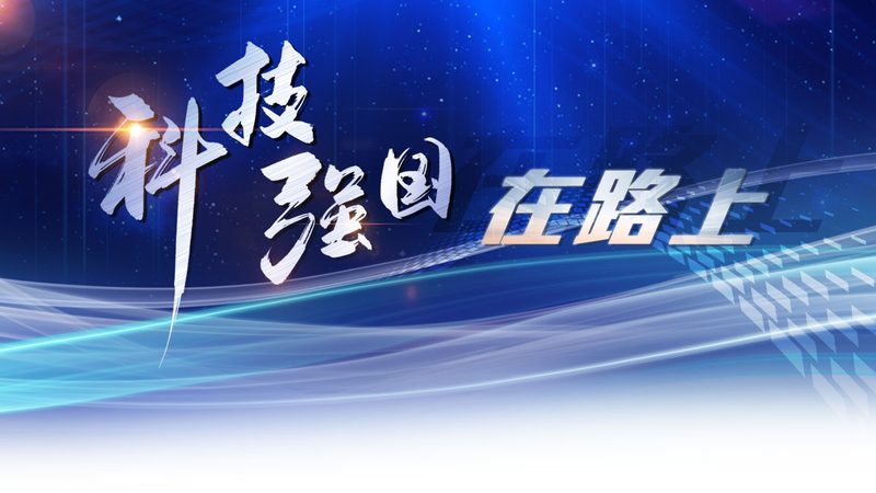 研发外包团队与自建团队：性能与成本的权衡之道
